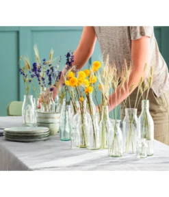 Bestseller -Pflanzen Promotion Geschäft 6284178 6491682 WE MO 001 Trockenblumen