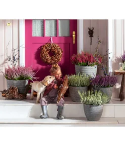 Knospenheide, Verschiedene Sorten 14 Knospenheide, Verschiedene Sorten -Pflanzen Promotion Geschäft 6347207 7084932 WE MO 001 Cococut Knospenheide Prunus