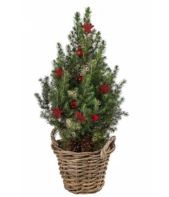 Geschmückter Weihnachtsbaum Kubu, Ca. H50 Cm