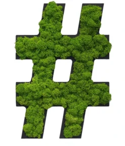 StyleGREEN Sonderzeichen 'Hashtag' Aus Islandmoos, Ca. B20/H25/T3,5 Cm
