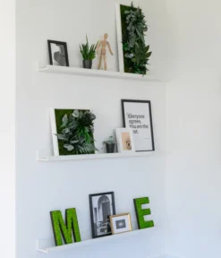 StyleGREEN Bild Im Dschungeldesign, Quadratisch, Ca. B35/H35/T16 Cm -Pflanzen Promotion Geschäft 6429435 WE MO 004 BuchstabenIslandmoosimRegal