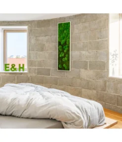 StyleGREEN Bild Aus Wald- Und Kugelmoos Im Verlauf, Ca. B140/H40/T7 Cm -Pflanzen Promotion Geschäft 6429799 PR MO 001 Wald Kugelmoosbild140x40cm