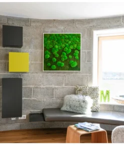 StyleGREEN Bild Aus Wald- Und Kugelmoos Im Verlauf, Ca. B80/H80/T7 Cm -Pflanzen Promotion Geschäft 6429807 WE MO 001 Wald KugelmoosbildVerlauf80x80cm