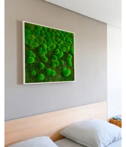 StyleGREEN Bild Aus Wald- Und Kugelmoos Im Verlauf, Ca. B80/H80/T7 Cm -Pflanzen Promotion Geschäft 6429807 WE MO 002 Wald KugelmoosbildVerlauf80x80cm