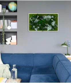 StyleGREEN Bild Im Dschungeldesign, Rechteckig, Ca. B100/H60/T20 Cm 6 StyleGREEN Bild Im Dschungeldesign, Rechteckig, Ca. B100/H60/T20 Cm -Pflanzen Promotion Geschäft 6429823 WE MO 001 Pflanzenbild100x60cm