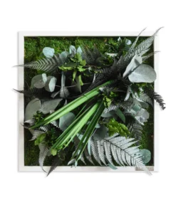 StyleGREEN Bild Im Dschungeldesign, Quadratisch, Ca. B35/H35/T16 Cm