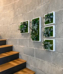 StyleGREEN Bild Im Dschungeldesign, Quadratisch, Ca. B35/H35/T16 Cm -Pflanzen Promotion Geschäft 6429864 WE MO 002 Pflanzenbild35x35cmStylegreen