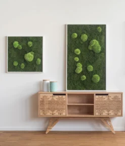 StyleGREEN Bild Aus Wald- Und Kugelmoos, Quadratisch, Ca. B55/H55/T6 Cm -Pflanzen Promotion Geschäft 6429880 WE MO 001 Wald Kugelmoosbild55x55cmStylegreen