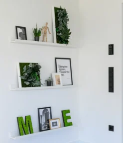 StyleGREEN Bild Im Dschungeldesign, Rechteckig, Ca. B57/H27/T16 Cm -Pflanzen Promotion Geschäft 6429930 WE MO 002 Pflanzenbild57x27cmStylegreen