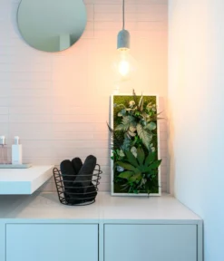 StyleGREEN Bild Im Dschungeldesign, Rechteckig, Ca. B57/H27/T16 Cm -Pflanzen Promotion Geschäft 6429930 WE MO 003 Pflanzenbild57x27cmStylegreen