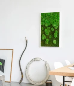 StyleGREEN Bild Aus Wald- Und Kugelmoos Im Verlauf, Ca. B100/H60/T7 Cm -Pflanzen Promotion Geschäft 6430631 WE MO 002 Wald Kugelmoosbild100x60cmStylegreen