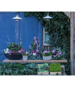 Grabstrauß Unvergessen, Ca. Ø30 Cm -Pflanzen Promotion Geschäft 6462931 WE MO 001 SerieUnvergessenPremiumAllerheiligen2023