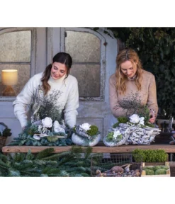 Grabgesteck Stille, Herzförmig, Ca. B25/H22/T25 Cm -Pflanzen Promotion Geschäft 6462949 WE MO 002 SerieStillePremiumAllerheiligen2023