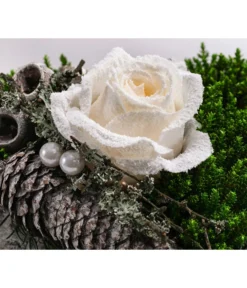 Grabgesteck Stille, Herzförmig, Ca. B25/H22/T25 Cm -Pflanzen Promotion Geschäft 6462964 WE DE 001 SerieStillePremiumAllerheiligen2023