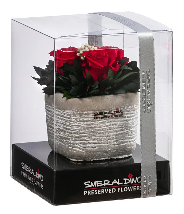 Dehner Arrangement Mit Longlife-Rose Ina Light, Rot, Ca. B8/H10/T8 Cm 2 Dehner Arrangement Mit Longlife-Rose Ina Light, Rot, Ca. B8/H10/T8 Cm – Bild 2