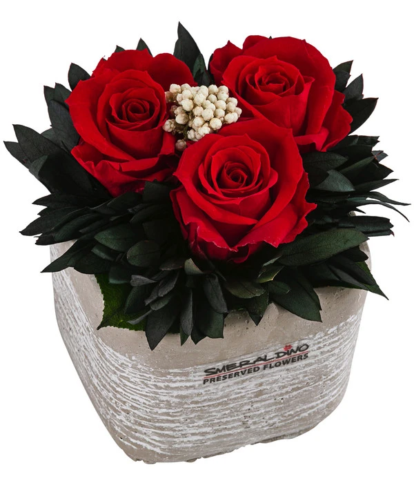 Dehner Arrangement Mit Longlife-Rose Ina Light, Rot, Ca. B8/H10/T8 Cm 1 Dehner Arrangement Mit Longlife-Rose Ina Light, Rot, Ca. B8/H10/T8 Cm