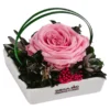 Dehner Keramik-Schale Mit Longlife-Rose Dita, Rosa, Ca. B10/H11/T10 Cm