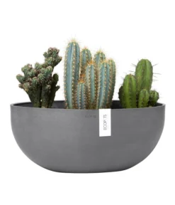 Ecopots Kunststoff-Schale Sofia Mit Wassersystem, Oval, Grau, Ca. B43/H17,5/T25 Cm -Pflanzen Promotion Geschäft 6614713 WE FS 003 EcopotsKunststoffSchaleSofiabreitovalgrau