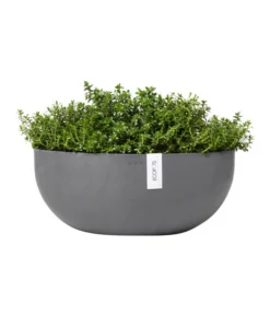 Ecopots Kunststoff-Schale Sofia Mit Wassersystem, Oval, Grau, Ca. B43/H17,5/T25 Cm -Pflanzen Promotion Geschäft 6614713 WE FS 004 EcopotsKunststoffSchaleSofiabreitovalgrau