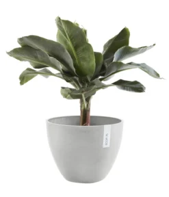 Ecopots Kunststoff-Topf Antwerp, Rund -Pflanzen Promotion Geschäft 6614747 WE FS 003 EcopotsKunststoffTopfAntwerprund