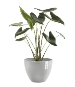 Ecopots Kunststoff-Topf Antwerp, Rund -Pflanzen Promotion Geschäft 6614747 WE FS 004 EcopotsKunststoffTopfAntwerprund