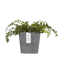 Ecopots Kunststoff-Kasten Manhattan Mit Wassersystem, Grau 11 Ecopots Kunststoff-Kasten Manhattan Mit Wassersystem, Grau -Pflanzen Promotion Geschäft 6614895 WE FS 003 EcopotsKunststoffTopfManhattanWallSmitWassersystemquadratischgrau