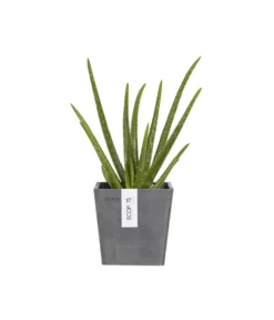 Ecopots Kunststoff-Kasten Manhattan Mit Wassersystem, Grau 13 Ecopots Kunststoff-Kasten Manhattan Mit Wassersystem, Grau -Pflanzen Promotion Geschäft 6614895 WE FS 005 EcopotsKunststoffTopfManhattanWallSmitWassersystemquadratischgrau