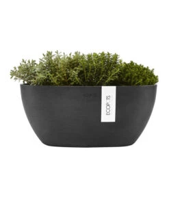 Ecopots Kunststoff-Schale Sofia Mit Wassersystem, Oval, Dunkelgrau, Ca. B30/H13,5/T13 Cm -Pflanzen Promotion Geschäft 6614929 WE FS 003 EcopotsKunststoffSchaleSofiamitWassersystemovaldunkelgrau