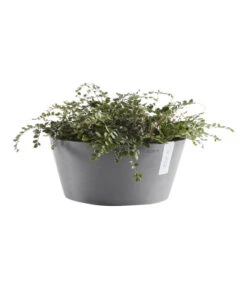 Ecopots Kunststoff-Topf Frankfurt, Rund -Pflanzen Promotion Geschäft 6614952 WE FS 003 EcopotsKunststoffTopfFrankfurtrund