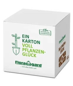 Floragard Blumenerde Box, 60 L