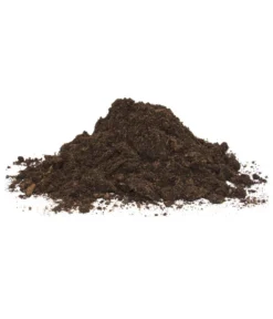 Floragard Aktiv Grünpflanzen- Und Palmenerde 6 Floragard Aktiv Grünpflanzen- Und Palmenerde -Pflanzen Promotion Geschäft 6624308 WE DE 001 FloragardAktivGruenpflanzenundPalmenerde