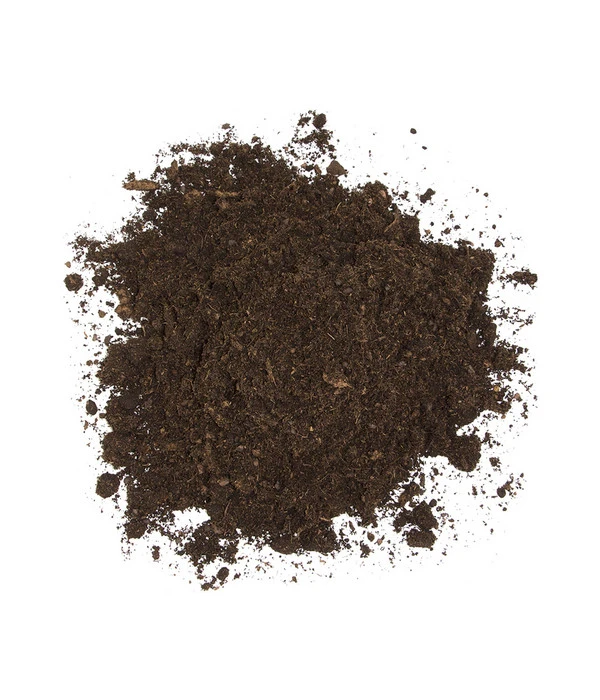 Floragard Aktiv Grünpflanzen- Und Palmenerde 4 Floragard Aktiv Grünpflanzen- Und Palmenerde – Bild 4