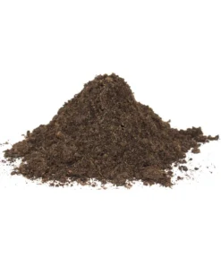 Floragard Schildkrötensubstrat 7 Floragard Schildkrötensubstrat -Pflanzen Promotion Geschäft 6624613 WE DE 002 FloragardSchildkroetensubstrat