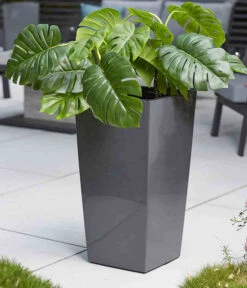 Siena Garden Kunststoff-Topf Lyon, Konisch, Ca. B40/H75/T40 Cm -Pflanzen Promotion Geschäft 6655377 WE MO 002 PflanzgefaessLyonAnthrazit