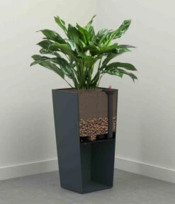 Siena Garden Kunststoff-Säule Eco Nizza, Konisch, Ca. B40/H75/T40 Cm 11 Siena Garden Kunststoff-Säule Eco Nizza, Konisch, Ca. B40/H75/T40 Cm -Pflanzen Promotion Geschäft 6655427 WE DE 002 PflanzgefaessNizza40Weiss