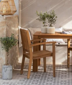 Olive, Busch, In Keramik, Ca. Ø16/H40 Cm -Pflanzen Promotion Geschäft 6657415 WE MO 002 GruppeHavanna