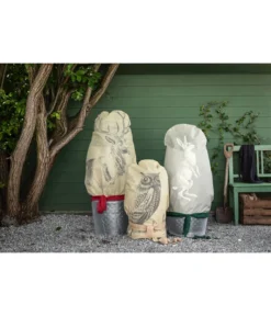 Dehner Pflanzen-Isolierfolie -Pflanzen Promotion Geschäft 6702765 3082997 WE MO 005 VlieshaubeHaseBeige