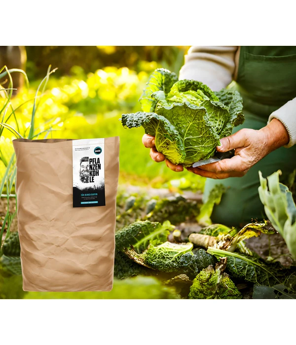 Moola Pflanzenkohle 2 Moola Pflanzenkohle – Bild 2