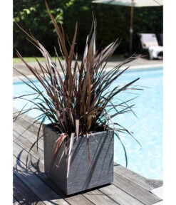 EDA-plastiques Kunststoff-Topf Graphit, Gerillt 7 EDA-plastiques Kunststoff-Topf Graphit, Gerillt -Pflanzen Promotion Geschäft 6763643 WE MO 001 PflanztopfGrap40x40