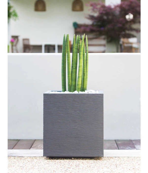 EDA-plastiques Kunststoff-Topf Graphit, Gerillt 5 EDA-plastiques Kunststoff-Topf Graphit, Gerillt – Bild 5