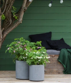 Vasar Kunststoff-Topf City, Grau 7 Vasar Kunststoff-Topf City, Grau -Pflanzen Promotion Geschäft 6770911 6771166 6771190 WE MO 003 VasarKunststofftopfCityGrau