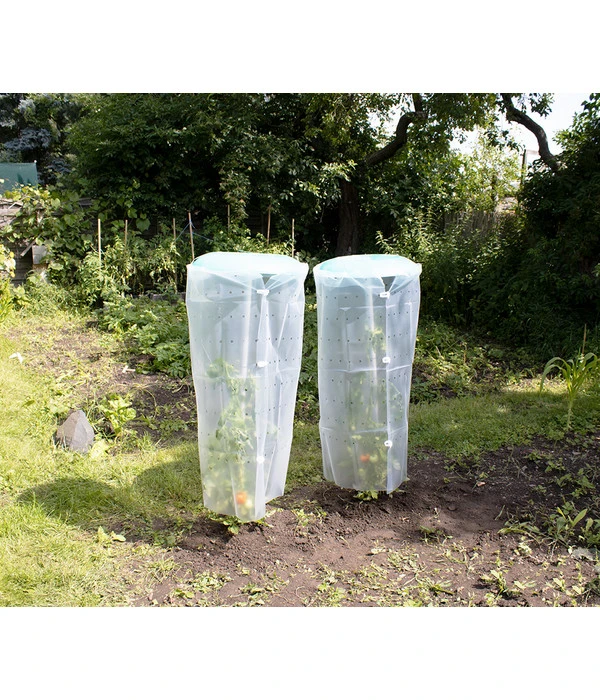 KHW Tomatenhut 2 KHW Tomatenhut – Bild 2