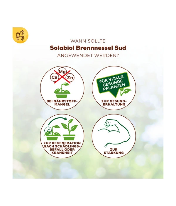 Solabiol® Brennnessel Sud, 1 L 5 Solabiol® Brennnessel Sud, 1 L – Bild 5