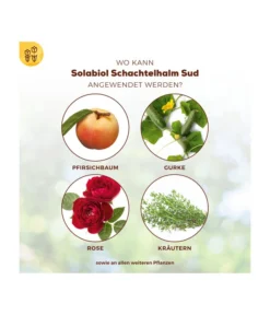 Solabiol® Schachtelhalm Sud, 1 L -Pflanzen Promotion Geschäft 6938187 WE DE 003 SolabiolSchachtelhalmSud