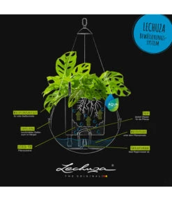 LECHUZA® BOLA Color, All-in-One Set -Pflanzen Promotion Geschäft 6938724 6938708 6938708 WE DE 005 BolaColor