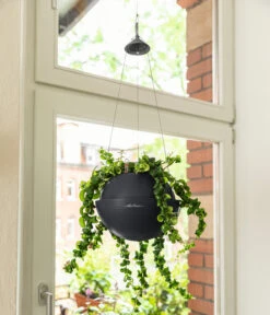 LECHUZA® BOLA Color, All-in-One Set -Pflanzen Promotion Geschäft 6938724 6938815 WE MO 001 BolaColorSchiefergrau