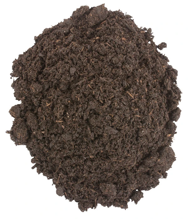 COMPO BIO Zitrus-Pflanzenerde, 10 L 3 COMPO BIO Zitrus-Pflanzenerde, 10 L – Bild 3