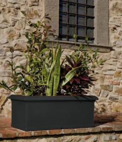 Farmet New Kunststoff-Kasten, Rechteckig, Inkl. Untersetzer -Pflanzen Promotion Geschäft 6964936 WE MO 001 FarmetNewKunststoffKastenrechteckig