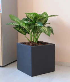 Farmet New Doppelwandiger Kunststoff-Kübel Atlantis, Quadratisch, Dunkelgrau, Inkl. Untersetzer -Pflanzen Promotion Geschäft 6965065 WE MO 001 FarmetNewdoppelwandigerKunststoffKuebelAtlantisrechteckig