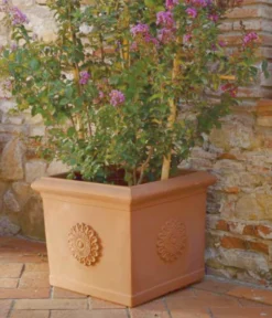 Farmet New Kunststoff-Topf Festonato, Quadratisch, Terrakotta, Inkl. Untersetzer -Pflanzen Promotion Geschäft 6967699 WE MO 001 FarmetNewKunststoffTopfFestonatoquadratischterrakotta